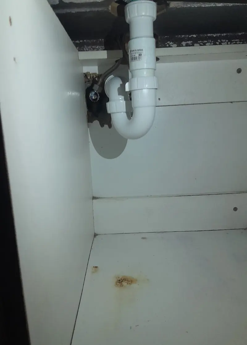 Waste pipe and trap under a sink